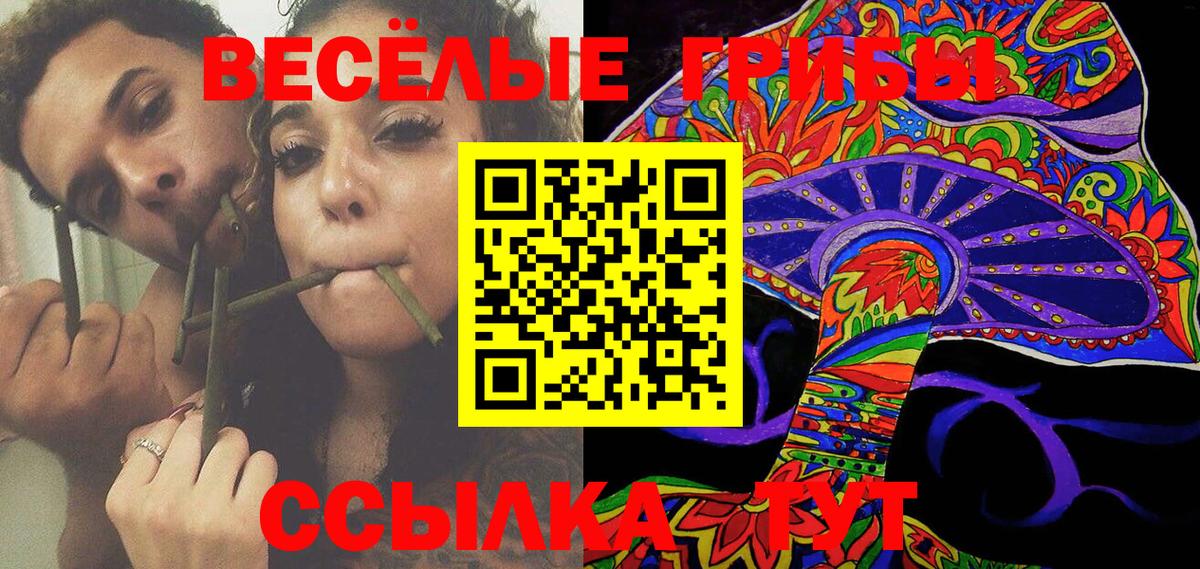 Галлюциногенные грибы GOLDEN TEACHER Сергиев Посад